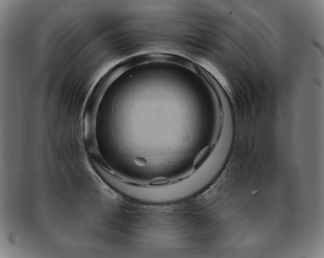 X0000091880996200709051320