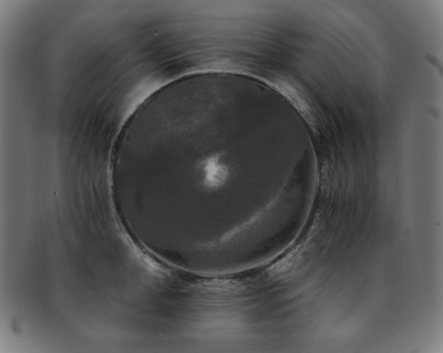 X0000091880998200709051320