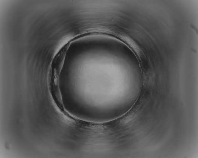 X0000091880999200709051320
