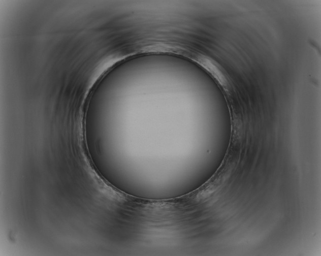 X0000091881000200709051320