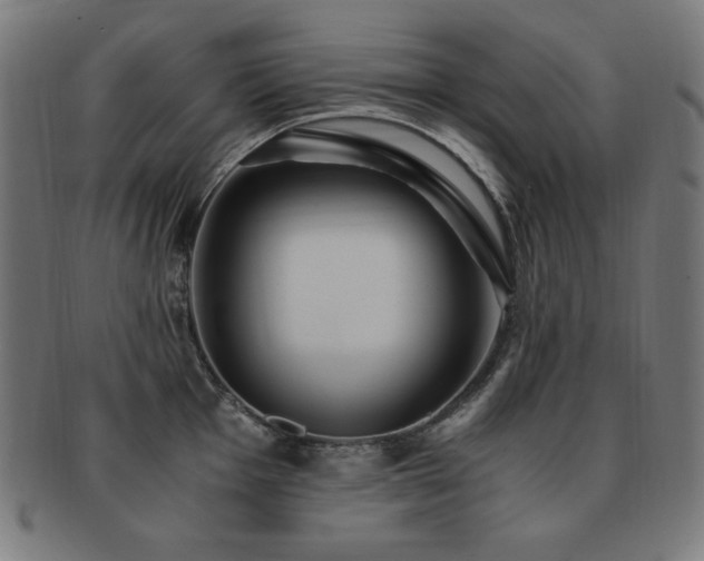 X0000091881001200709051320