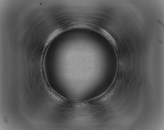 X0000091881002200709051320