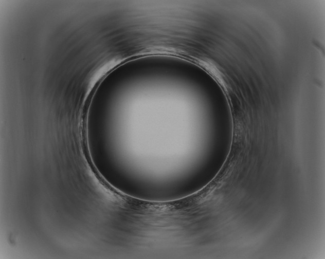 X0000091881003200709051320