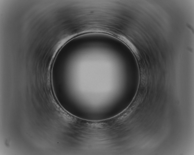 X0000091881004200709051320