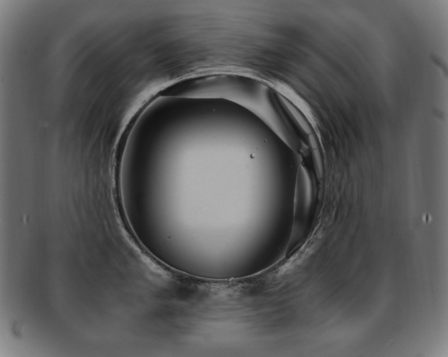 X0000091881005200709051320