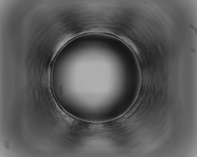 X0000091881006200709051320