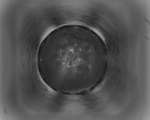 X0000091881007200709051320