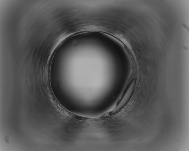 X0000091881008200709051320