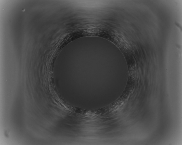X0000091881009200709051319