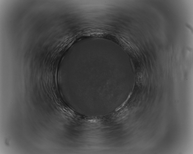 X0000091881010200709051319