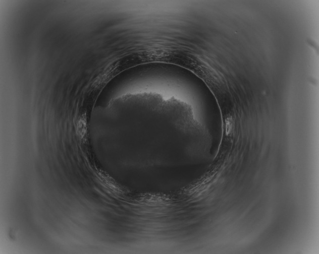 X0000091881011200709051319
