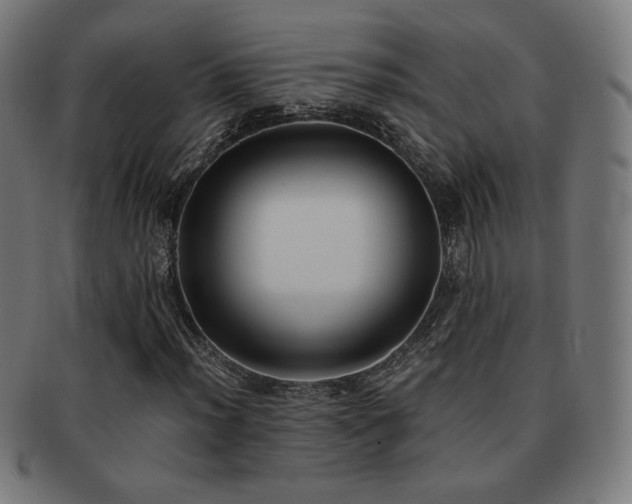 X0000091881012200709051319