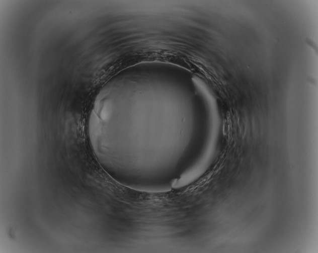 X0000091881013200709051319