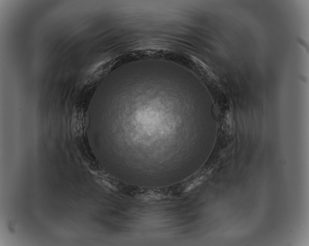 X0000091881014200709051319