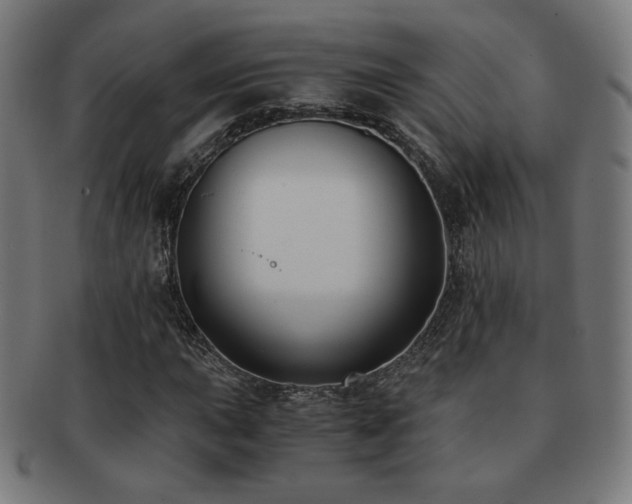 X0000091881015200709051319