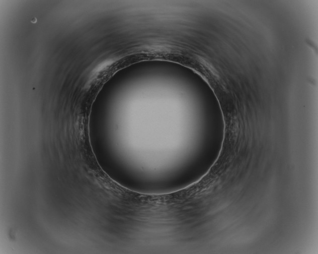 X0000091881016200709051319