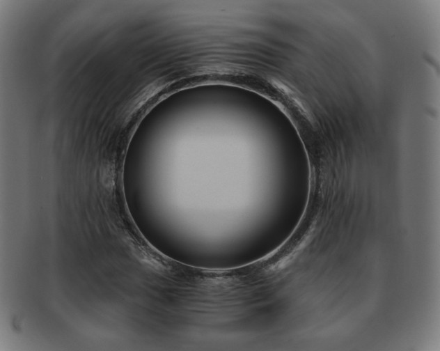 X0000091881017200709051319