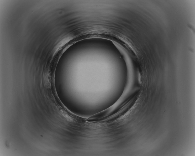 X0000091881018200709051319