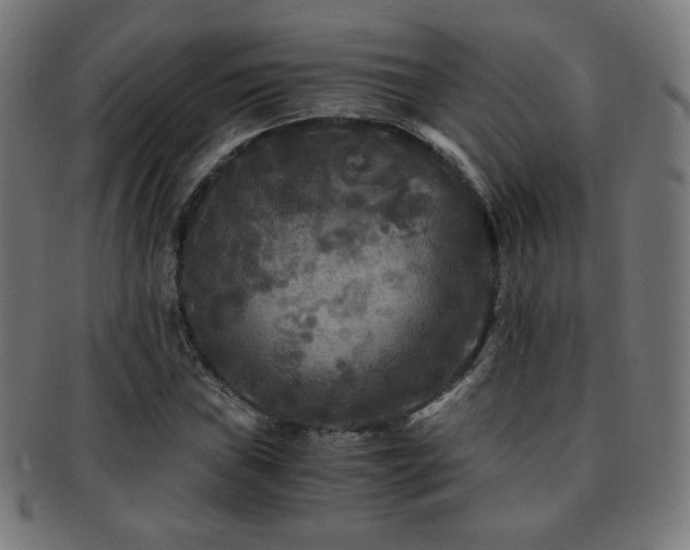 X0000091881019200709051319