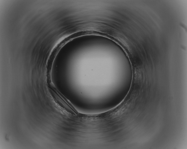 X0000091881020200709051319