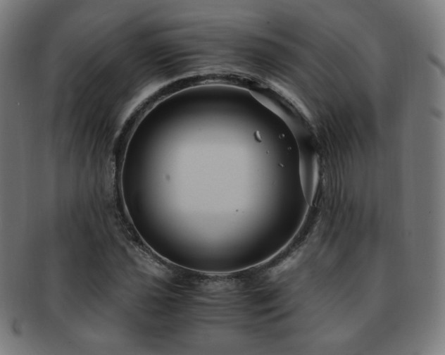X0000091881021200709051319