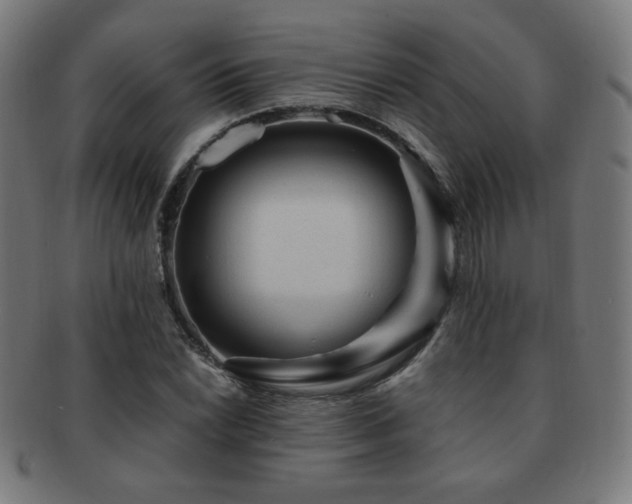 X0000091881022200709051319