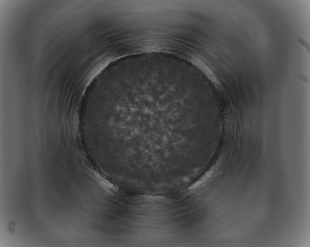 X0000091881023200709051319