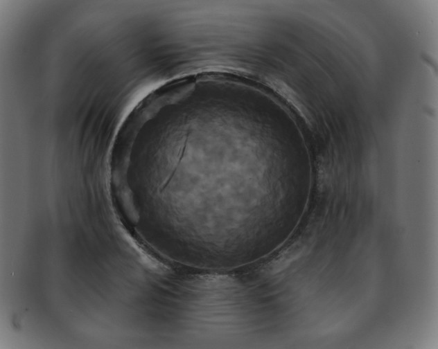 X0000091881024200709051319