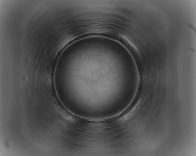 X0000091881025200709051319