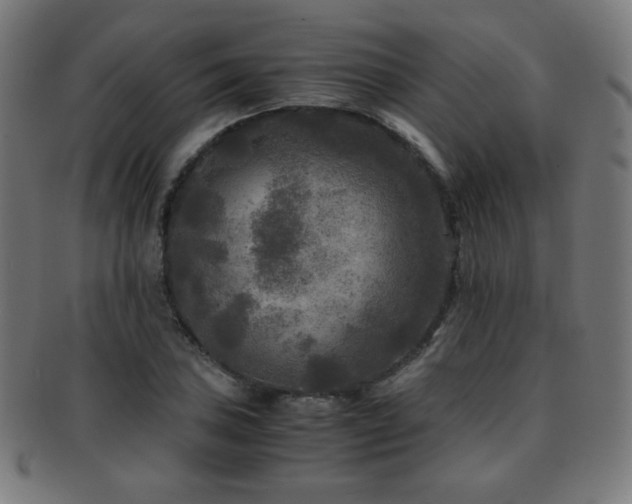 X0000091881027200709051319