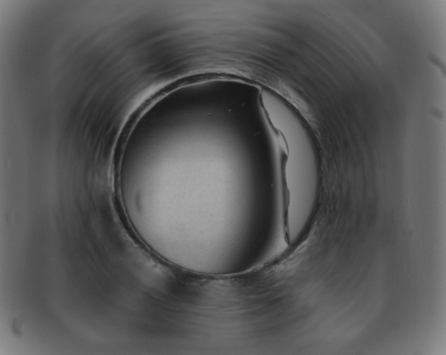 X0000091881028200709051319