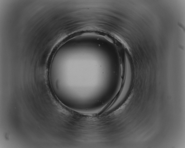 X0000091881029200709051319