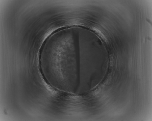 X0000091881031200709051320