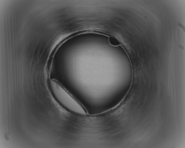X0000091881032200709051320