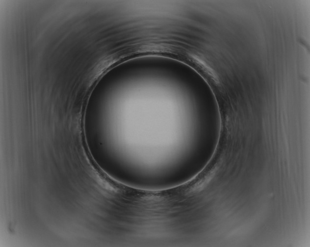 X0000091881033200709051320