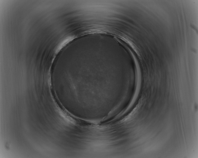 X0000091881034200709051320