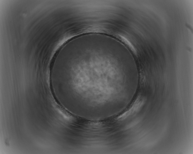 X0000091881035200709051320