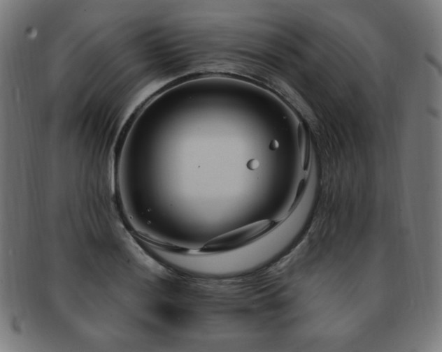 X0000091881036200709051320
