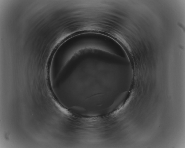X0000091881037200709051320