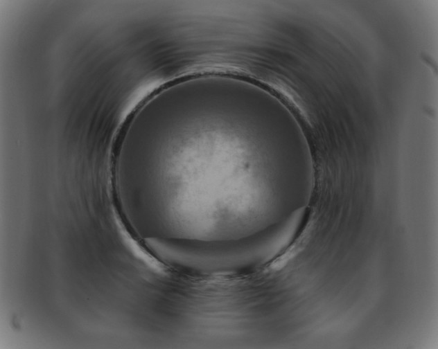 X0000091881038200709051320