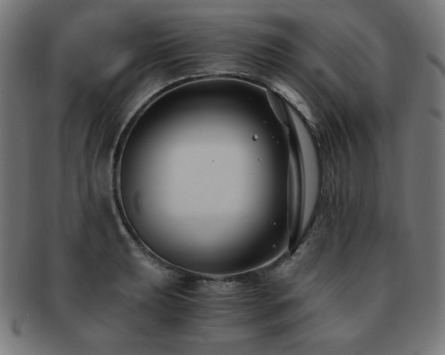 X0000091881039200709051320