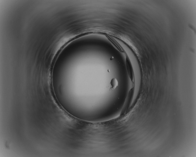 X0000091881040200709051320