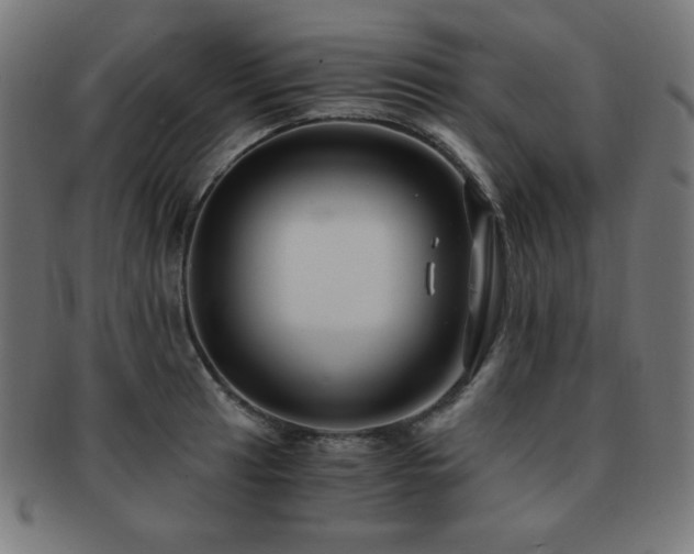 X0000091881041200709051320