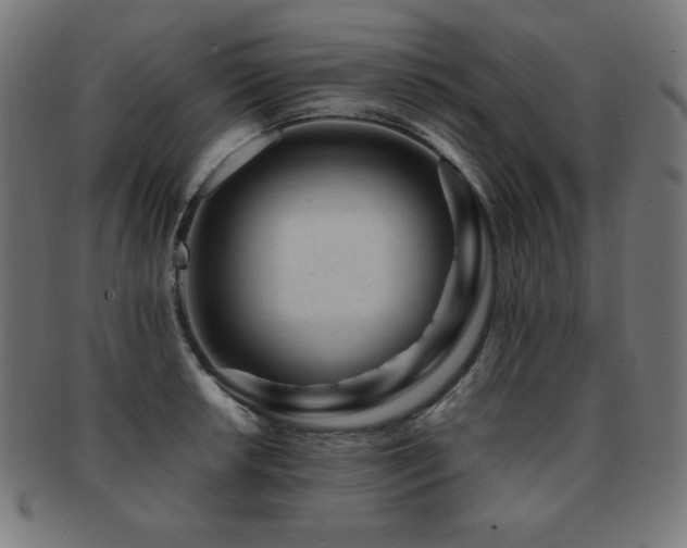 X0000091881042200709051320