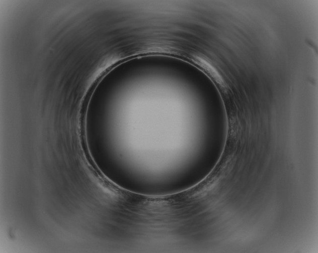 X0000091881043200709051320