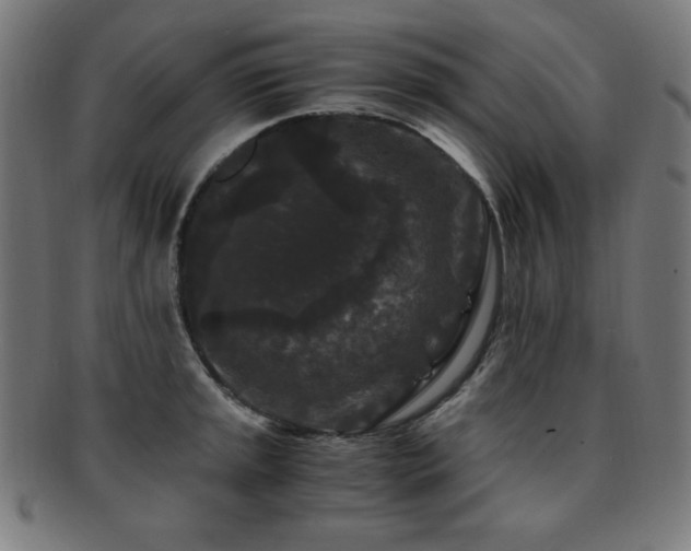X0000091881045200709051320