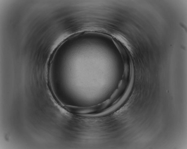 X0000091881046200709051320