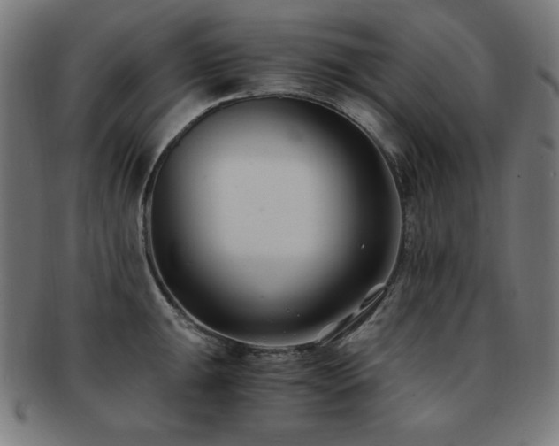 X0000091881047200709051320