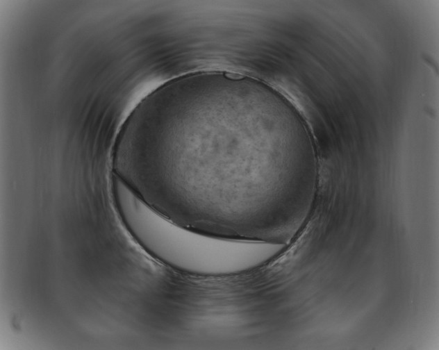 X0000091881048200709051320