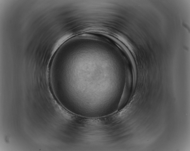 X0000091881050200709051320